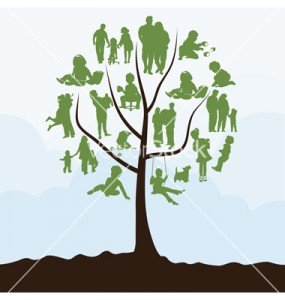 Family tree - bankruptcy
